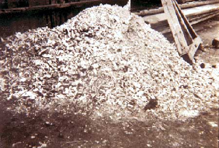 ashes and half-cremated human bones