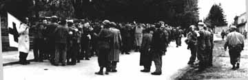 Guards with Red cross Flag surrender at Dachau