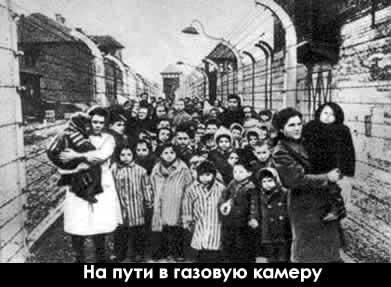 children at unidentified camp