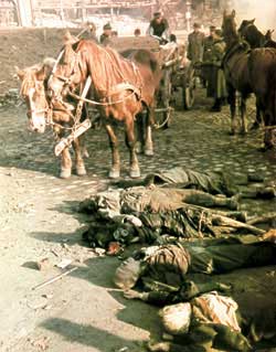 Altmarkt, Pferdewagen