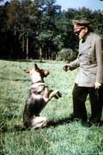 Hitler and Blondi