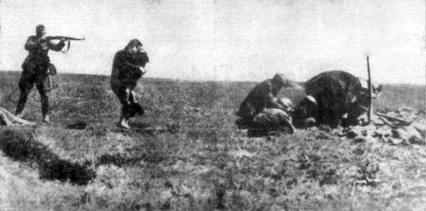 uncroped photo of shooting