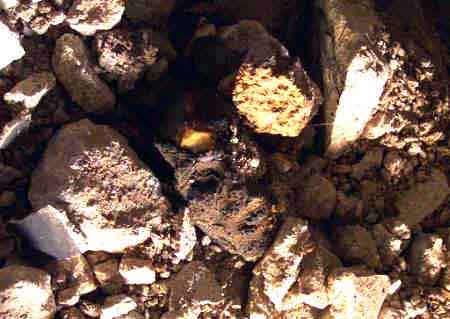 charred remains of the head of a Palestinian