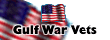 Gulf War Vets