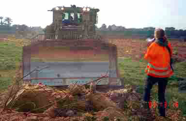 Rachel Corrie, about to die